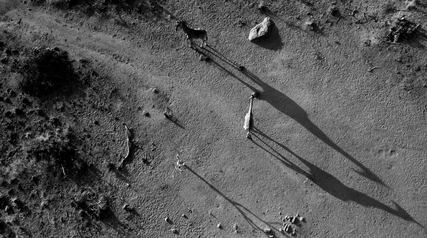 Stargazing under the Waterberg night sky