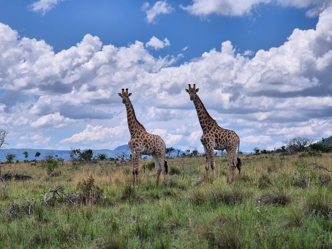 Waterberg landscape explored on quad bikes